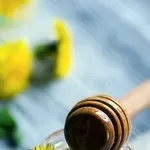 Med od maslačka: Trebat će vam 500 cvjetova, a najbolji je u zelenom čaju