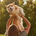 Zašto ljudi, što su stariji, sve više preferiraju društvo svojih ljubimaca nego druge ljude?