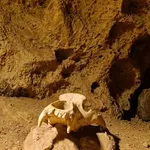 Šišmiši su se probudili: Obiđite čudesnu Veternicu i uživajte u proljetnom danu u prirodi