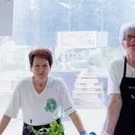 Proljeće u Istri: Dođite u Kršan na Festival samoniklog bilja