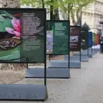 Vlažna staništa nestaju alarmantnom brzinom: Čovječja ribica, dabar i riječna kornjača na Zrinjevcu