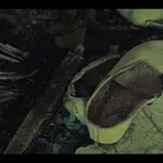 40 godina nakon Černobila: Dokumentarna serija koja donosi cjelovitu priču o katastrofi i njezinim posljedicama