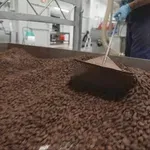 Kakaovac pojeftinio, ali ne i čokolada: Dnevnik Nove TV istražio zašto