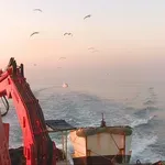 Stižu nove cijene goriva: Dnevnik Nove TV doznaje koliko ćete točno uštedjeti po rezervoaru, brojka će mnoge razočarati!