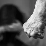 Muškarac napao članove obitelji: Ozlijeđeno dijete, žena prevezena u bolnicu