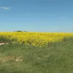 Poljoprivrednici bi mogli promijeniti sve, ako tvornice prorade: "Trebao bi biti jeftiniji od plavog dizela"