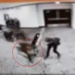 VIDEO Bivši agent Tajne službe analizirao snimke pucnjave: "U šoku sam promatrao..."