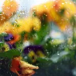 Osvježenje uz kišu i buru, a onda se vraća toplo vrijeme: Meteorolog donosi detalje