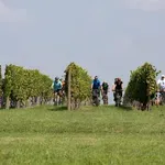 Mali raj uz Dunav: Idealna destinacija za proljetni bijeg u prirodu