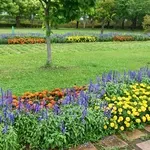 Kako do cvjetne gredice u nekoliko trenutaka - video pokazao koliko je jednostavno