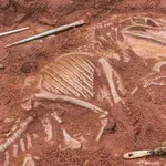 Otkriveni ostaci najčudnijeg dinosaura: Imao je nešto što dosad nigdje nije bilo viđeno