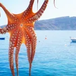 Dobar san počinje za stolom: Koje namirnice jesti ako imate problema sa spavanjem
