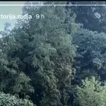 Domaći plesač izrekao sudbonosno ''da'', pogledajte prizore s modernog vjenčanja!