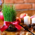 Što simbolizira pšenica koju sijemo na Svetu Luciju?