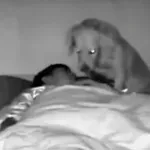 Vlasniku nije bilo jasno zašto ga je pas probudio usred noći, a onda je pogledao snimku…