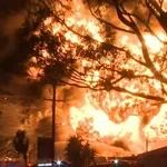 Snimka eksplozije u Sydneyju postala hit zbog neobične reakcije snimateljice