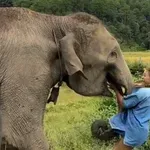 Dosta im je turista: Htjela se snimiti sa slonom pa vrlo brzo požalila