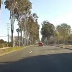 Kao muha bez glave: Ovakav prizor rijetko se viđa, svi se pitaju kako uopće vozi