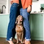 Što s ljubimcem ako dođe do rastave braka ili prekida veze? Evo što nam je rekao odvjetnik