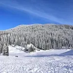 Zimski bijeg u Sloveniju uz Crno jaje: Spoj skijanja, wellnessa i tišine alpskih pejzaža