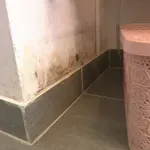 Peta zima u kontejneru na Banovini: "Raskopali su i to stoji tako. Nikad nitko nije došao"