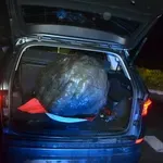 Ovo je muškarac koji je ukrao glavu Tita: Sve je priznao na društvenim mrežama