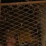 Ulov policije kod Vukovara! U štali su pronašli crne vreće – sadržaj vrijedi na tisuće eura