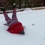 Zimske radosti pretvorile se u kaos, no barem su se dočekali na mekani snijeg