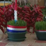 Stiže blagdan svete Lucija: Pogledajte trikove za sijanje vrhunske božićne pšenice