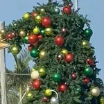 Samo u Australiji: Urnebesni prizor podsjetio da ne slave svi Božić zimi