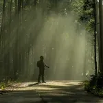 Oglašena uzbuna: Ove drevne, jedinstvene i čarobne životinje nestale su zbog - fotografija?