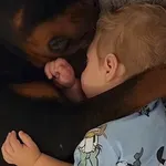 Najslađe dadilje na svijetu: Snimili pse u blaženim trenucima od kojih ćete se rastopiti