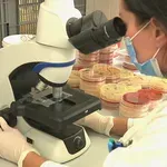 Službeno potvrđen i treći slučaj opasne bakterije u Zagrebu