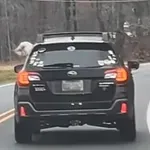 Pas u autu oduševio vozače, preslatki prizor postao hit na društvenim mrežama