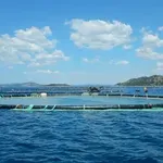 Uzgajamo s razlogom – jedemo s povjerenjem