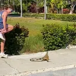 Gušter ga iznenadio potezom, nije znao da rep može biti tako opasan