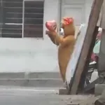 Najgori poklon za Valentinovo: Doživjela podlu sačekušu i dobila što je zaslužila