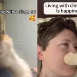 Ljubimci im ne daju mira, njihova privrženost raznježila je vlasnike