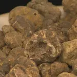 Ponos Istre dobiva posebnu oznaku: "Bit će to najskuplji proizvod po jedinici količine"