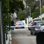 Otkriveni novi detalji napada na kuću Zdravka Čolića: Sve su snimali mobitelom