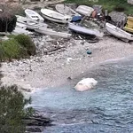 FOTO U moru ugledali užasan prizor: "Naišli smo na beštiju od pet, šest metara..."