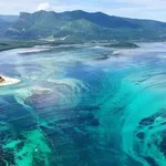 Nestvaran prizor: Pogledajte kako izgleda podvodni vodopad