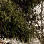 USUSRET VALENTINOVU: Tko je vaš +1? Odgovori Zagrepčana će vas iznenaditi!