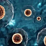 Koliko Japan riskira s odobrenjem jedinstvenih i nedovoljno testiranih lijekova na bazi matičnih stanica?