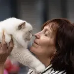 Mačja elita stiže u Rijeku - modna pista, svjetski prvaci i Best in Show! Kantrida u znaku brkova i glamura: Više od stotinu mačjih ljepotica na jednom mjestu