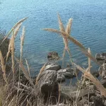 Građani ogorčeni: U prirodnoj uvali grade marinu i resort od 900 kreveta, plažu će pretvoriti u bazen