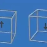 Optička varka izludila gledatelje, provjerite može li nasamariti i vas