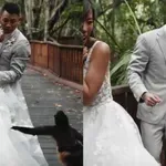 Nepozvani gost im pokušao pokvariti vjenčanje, pogledajte bizarnu snimku