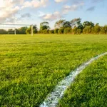 Policija uhvatila tinejždere, neobično je što su ukrali s nogometnog igrališta: "Dovezli su se autom..."