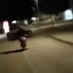 Bizarna scena iz Dalmacije nasmijala društvene mreže! Pogledajte što prevozi na skuteru